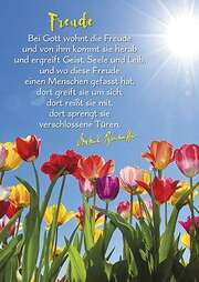 Dietrich Bonhoeffer - Postkarten: Freude, 12 Stück Postkarten: Freude, 12 Stück