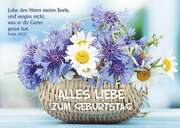 Postkarten: Alles Liebe zum Geburtstag, 12 Stück Postkarten: Alles Liebe zum Geburtstag, 12 Stück