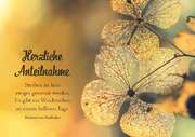 Faltkarte - Herzliche Anteilnahme Faltkarte - Herzliche Anteilnahme