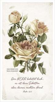 Metallschild - Rose Metallschild - Rose