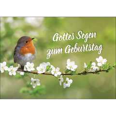Postkarten: Gottes Segen zum Geburtstag, 4 Stück Postkarten: Gottes Segen zum Geburtstag, 4 Stück