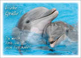 Postkartenserie Delfine - 12 Stück Postkartenserie Delfine - 12 Stück