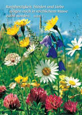 Postkarten Wiesenblumen, 6 Stück