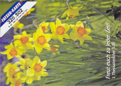 Postkarten Frühlingsblumen, 6 Stück