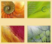 Postkartenserie Natur-Impressionen, 12 Stück Postkartenserie Natur-Impressionen, 12 Stück