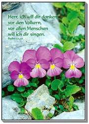 V. Rauch - Postkarten: Herr, ich will Dir danken, 12 Stück Postkarten: Herr, ich will Dir danken, 12 Stück