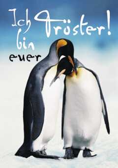 Postkarten - Ich bin euer Tröster (Pinguine) - 8er Set