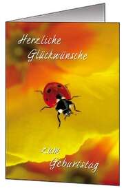 Faltkarten Geburtstag, 5 Stück Faltkarten Geburtstag, 5 Stück