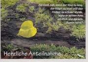 Herzliche Anteilnahme - Faltkarte Herzliche Anteilnahme - Faltkarte
