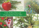 Postkartenserie Frohe Weihnachten - 12 Stück