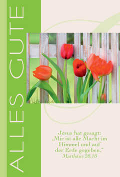 Faltkarte "Alles Gute" Tulpen - 5 Stück