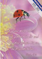 Postkarten Marienkäfer - 6 Stück Postkarten Marienkäfer - 6 Stück