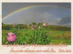 Postkarten Regenbogen, 6 Stück